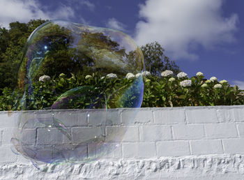 Close-up of bubbles against sky