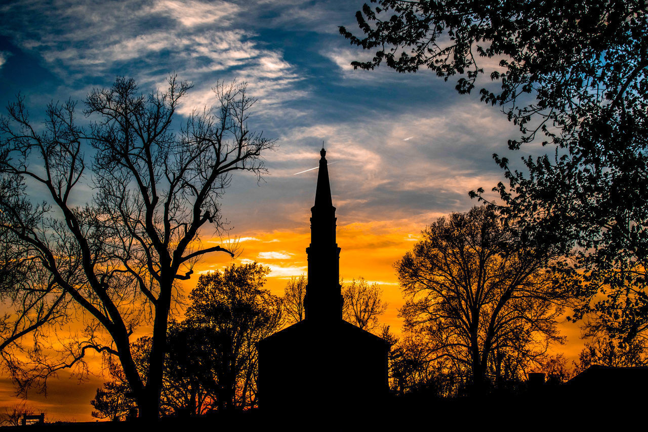 SILHOUETTE OF TREES AND BUILDING AGAINST CLOUDY SKY