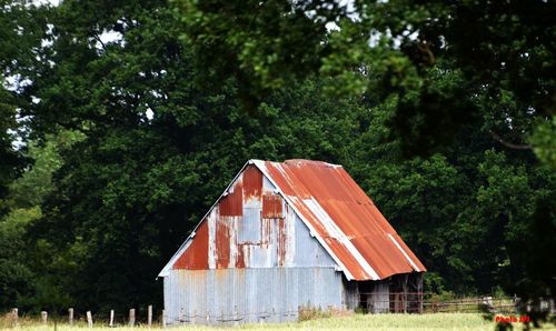 Red house amidst trees in forest