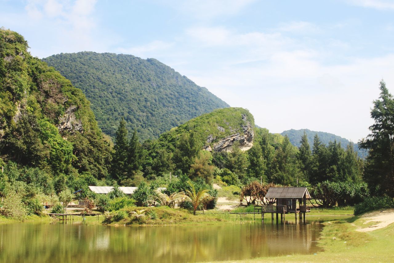 SCENIC VIEW OF MOUNTAINS AND TREES AGAINST SKY