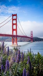 Golden gate bridge over bay against sky