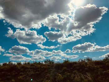 Scenic view of trees against sky