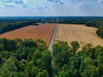 High angle view of trees by road against sky