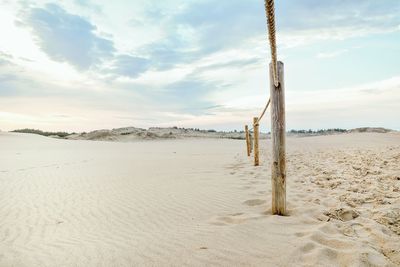 Wooden posts on sand at beach against sky