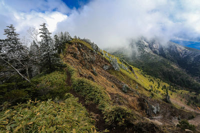 Scenic view of landscape against sky