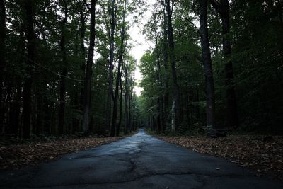 Empty road amidst trees in forest