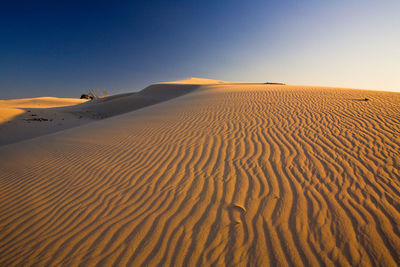 Scenic view of desert against clear sky