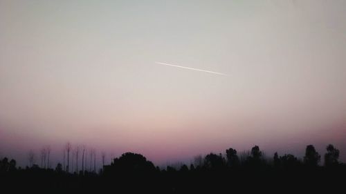 Scenic view of trees against sky