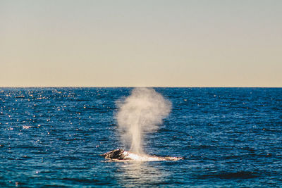 Water splashing on sea against sky