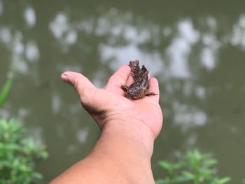 Close-up of hand holding small finger