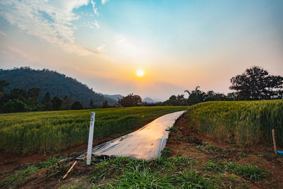 Scenic view of land against sky during sunset