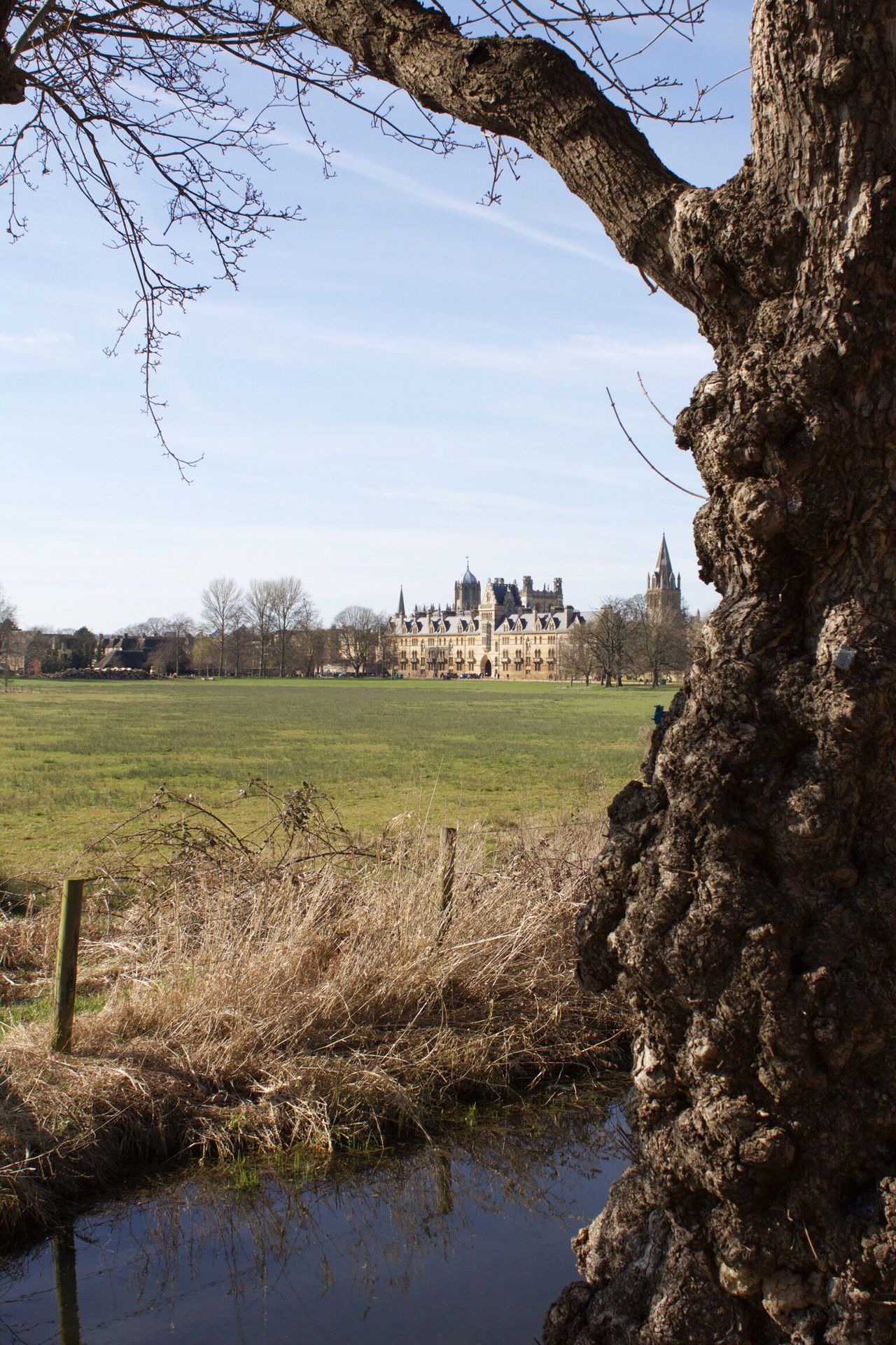 Christchurch Meadow, Oxford