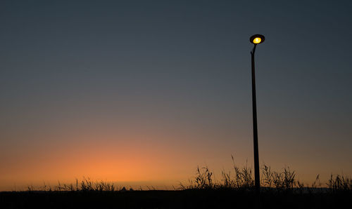 Silhouette of trees at sunset