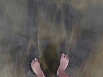 Low section of woman standing in water