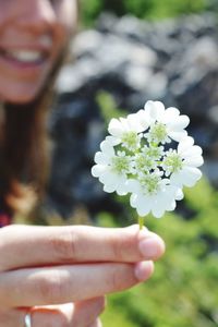 Cropped image of hand holding white flower