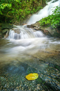 Scenic view of waterfall in forest