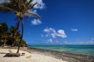 Scenic view of beach against blue sky