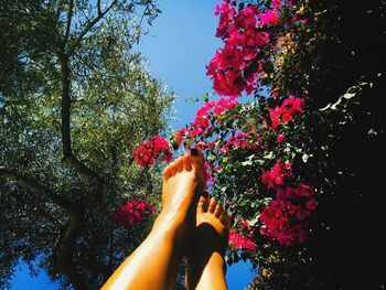 Person holding pink flowers