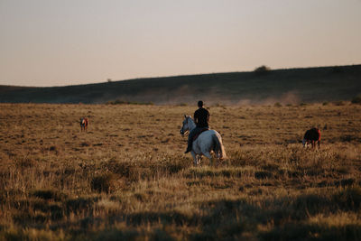 Men riding horses on field against sky during sunset