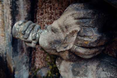 Close-up of statue