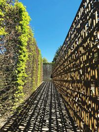 Footpath amidst trees against clear blue sky
