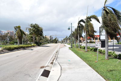 Road amidst trees and buildings against sky