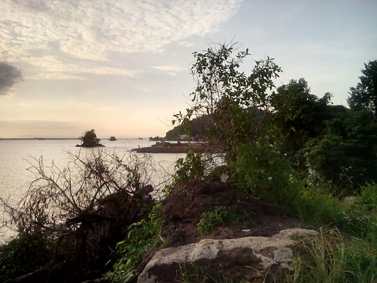 water, tranquil scene, sea, sky, tranquility, scenics, horizon over water, beauty in nature, tree, nature, cloud - sky, idyllic, shore, plant, cloud, beach, growth, calm, sunset, lake