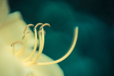 Close-up of sea against sky