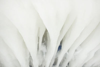 Full frame shot of leaf