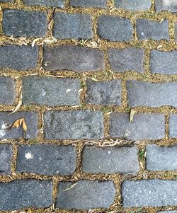 Full frame shot of tiled floor