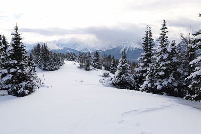 Scenic view of snow covered landscape against sky