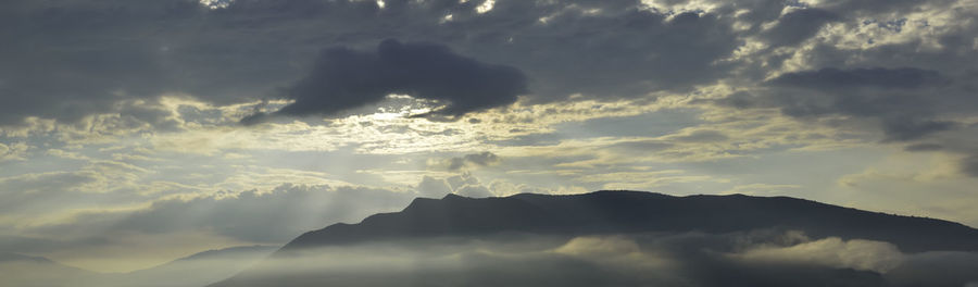 Landscape with summer morning mist