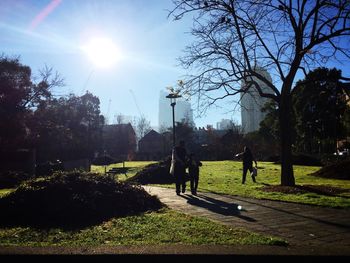 Sun shining through trees in park