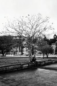 View of bare trees against buildings