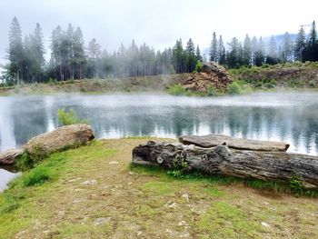 Scenic view of lake in forest against sky