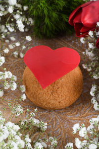 High angle view of heart shape on red tree