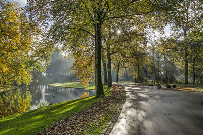 The park in rotterdam on a sunny day in autumn