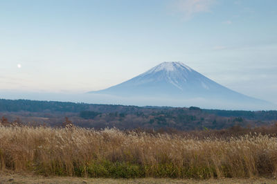 Scenic view of snowcapped mountain against sky