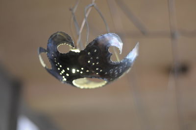 Close-up of crystal ball hanging