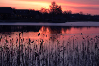 Scenic view of calm lake at sunset