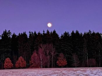 View of trees against clear sky at night