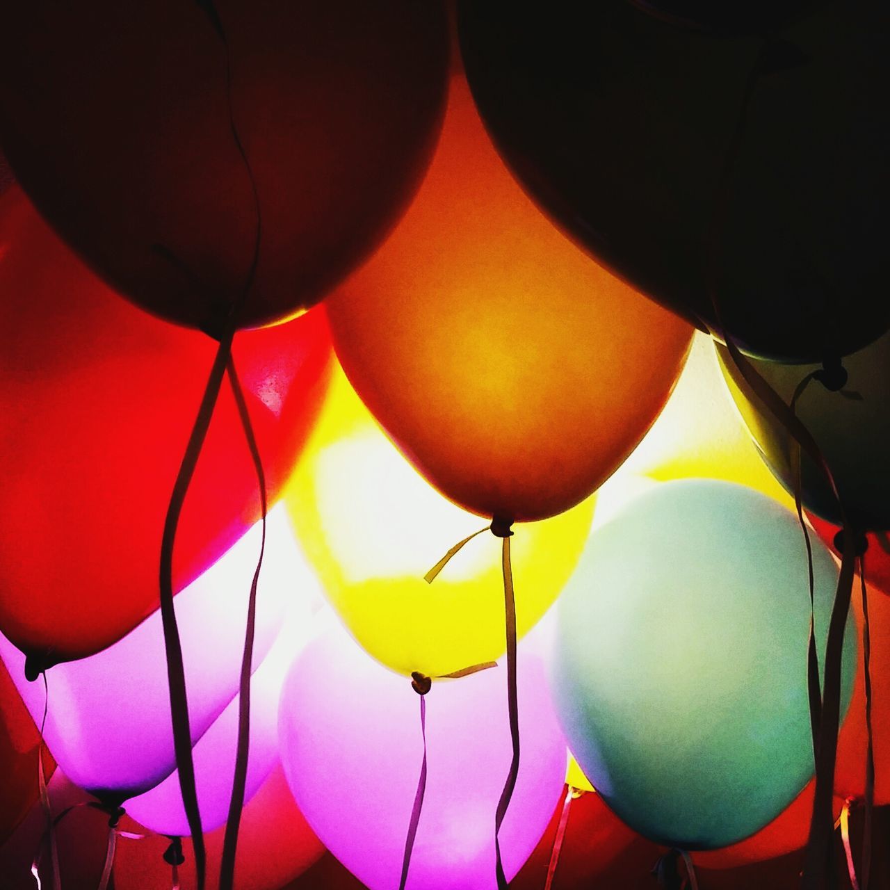 hanging, decoration, multi colored, low angle view, balloon, close-up, lantern, celebration, in a row, indoors, shape, cultures, red, lighting equipment, sphere, no people, pattern, sky, variation, chinese lantern