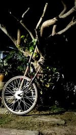 Close-up of bicycle parked on tree at night