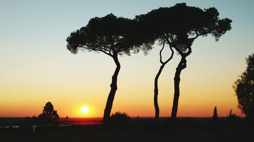 Silhouette tree by sea against sky during sunset