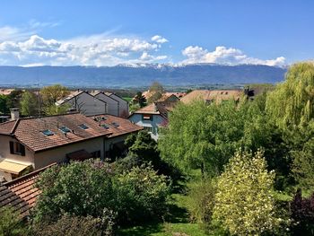 Plants and trees by houses against sky
