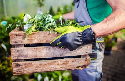 Midsection of man holding vegetables in crate at farm