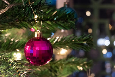 Close-up of illuminated christmas tree