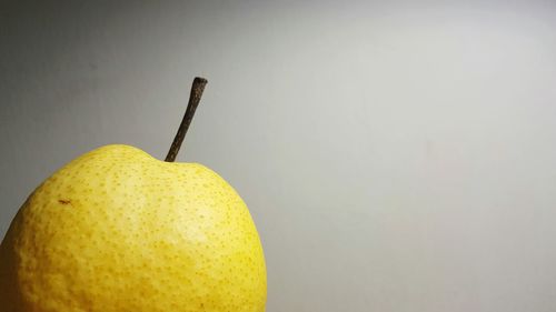 Close-up of object over white background