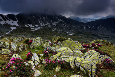 Scenic view of lake by mountains against sky