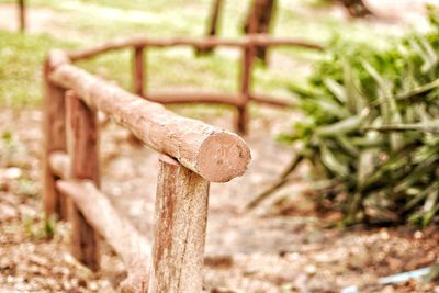 Close-up of wood